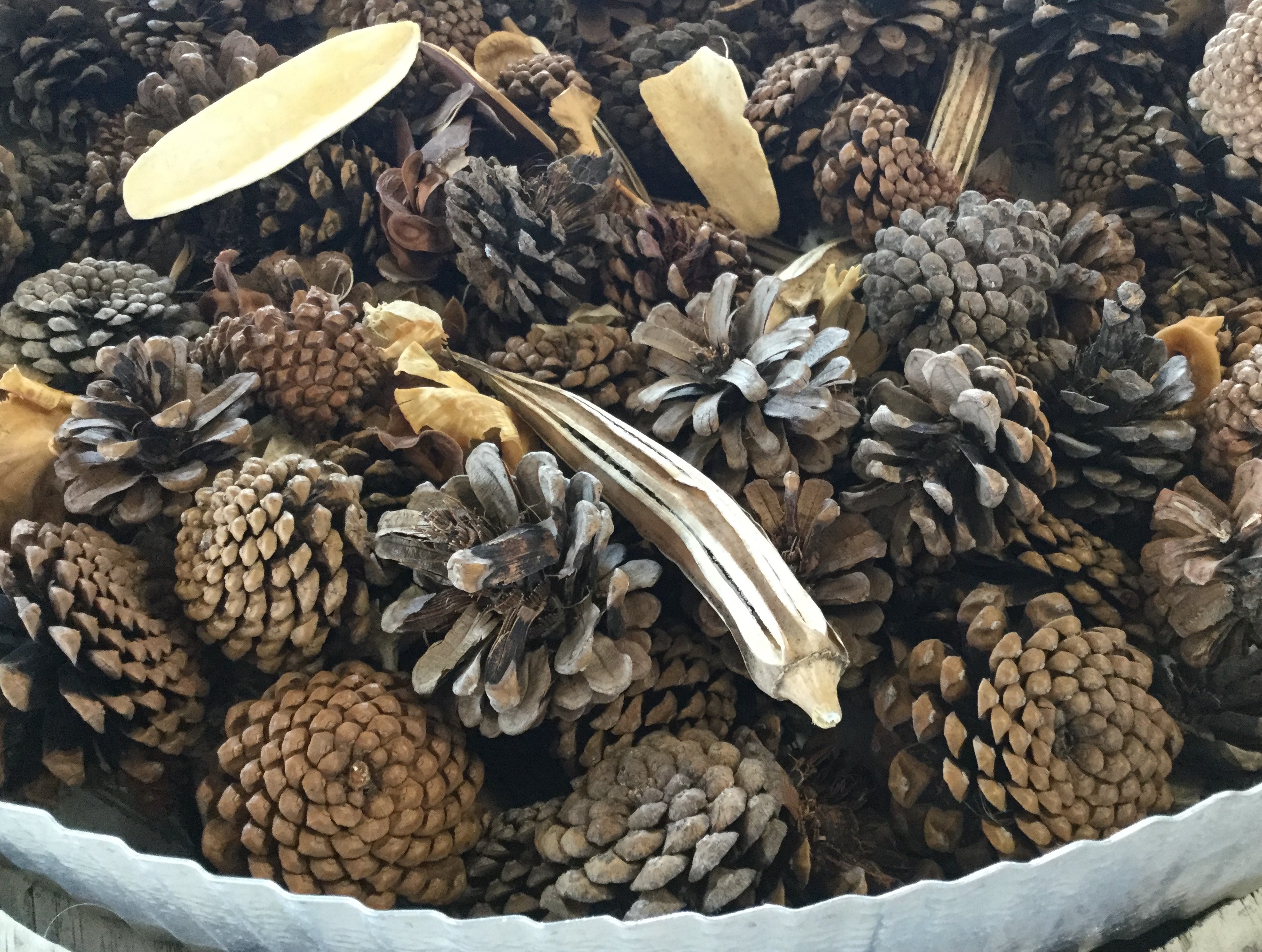 Some Fall Goodness